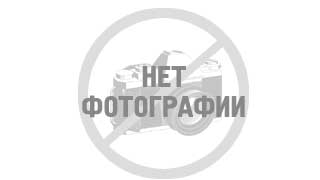 Цветы говорят без слов Цветы говорят без слов